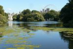 PICTURES/Buckingham Palace/t_View across St. James Park Lake4.JPG